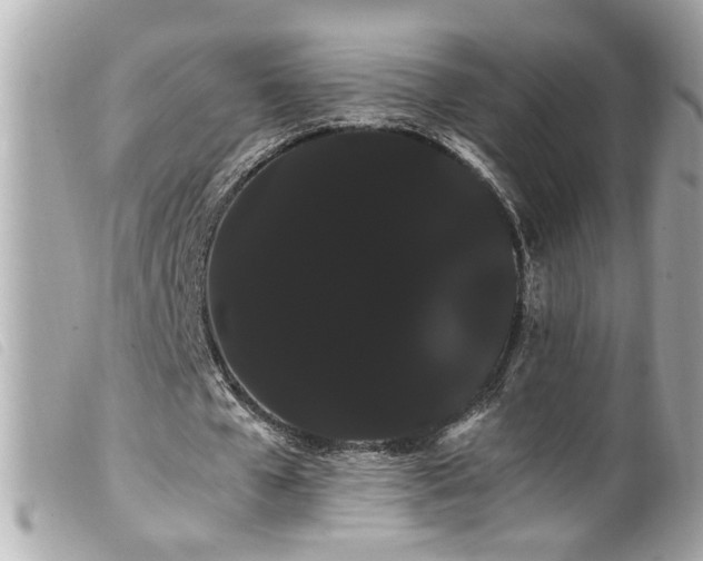 X0000100220577200805301349