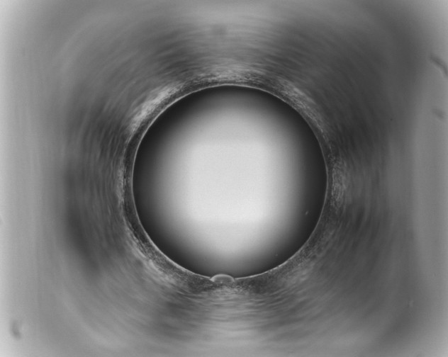 X0000100220578200805301348