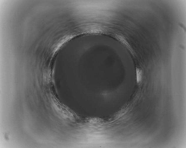 X0000100220579200805301348
