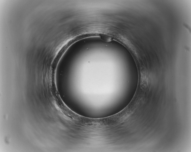 X0000100220580200805301348