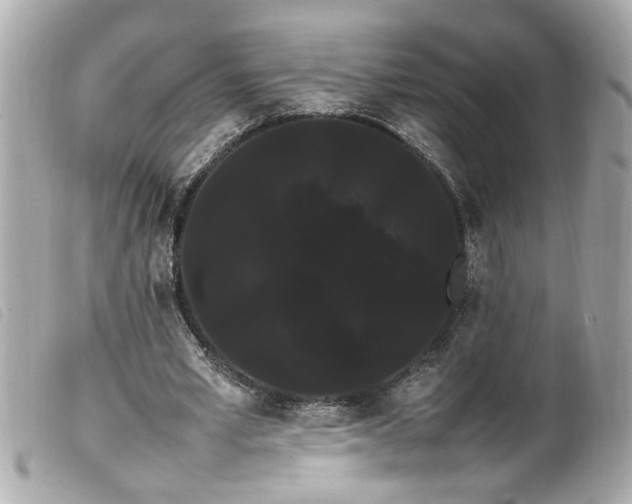 X0000100220581200805301348