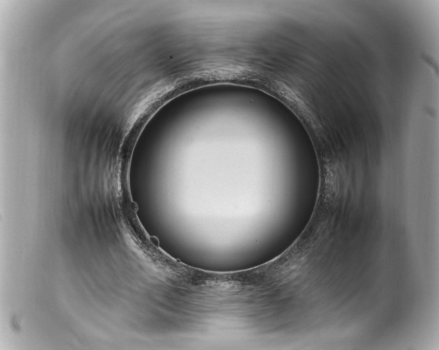 X0000100220582200805301348