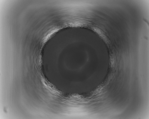 X0000100220583200805301348