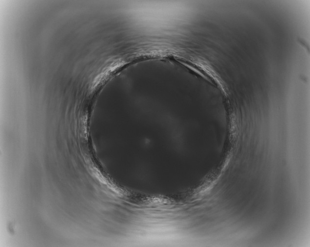 X0000100220585200805301348