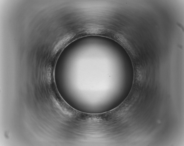X0000100220586200805301348