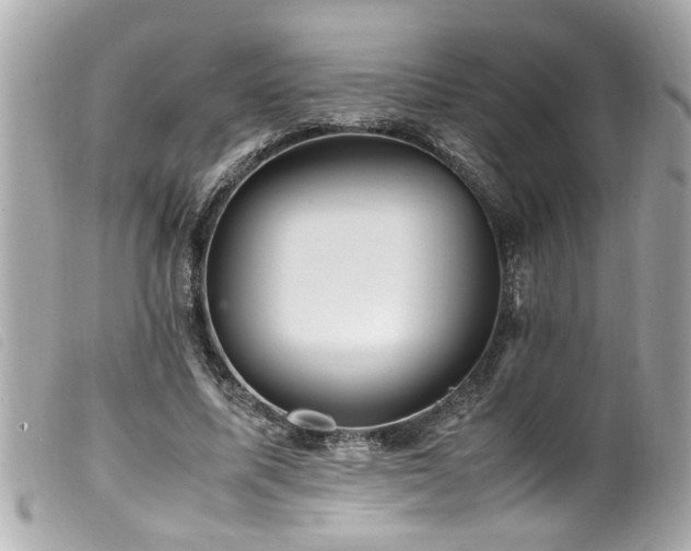 X0000100220587200805301348