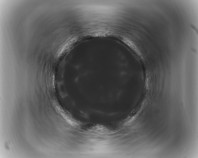 X0000100220589200805301348