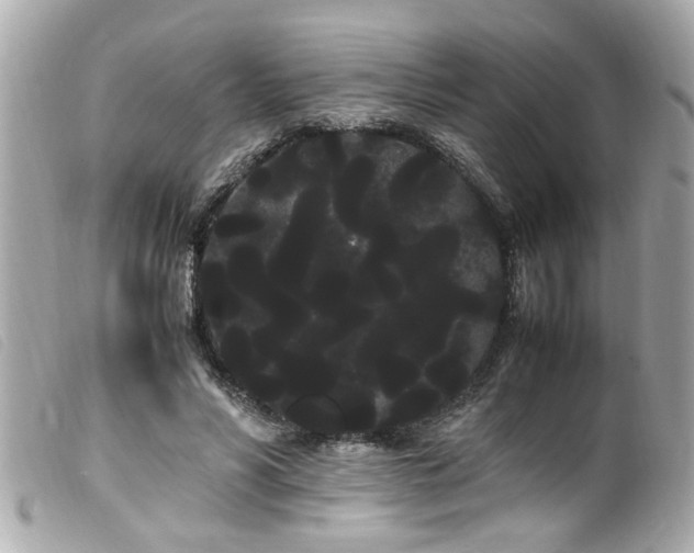 X0000100220590200805301348