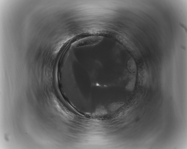 X0000100220592200805301348
