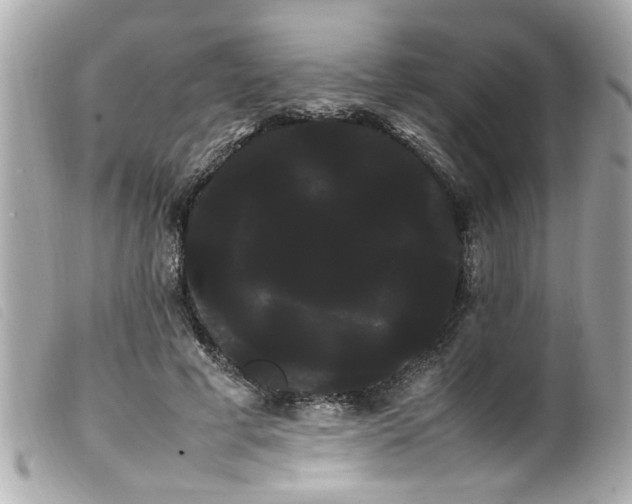 X0000100220593200805301348