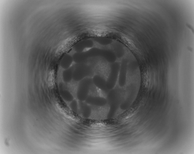X0000100220594200805301348
