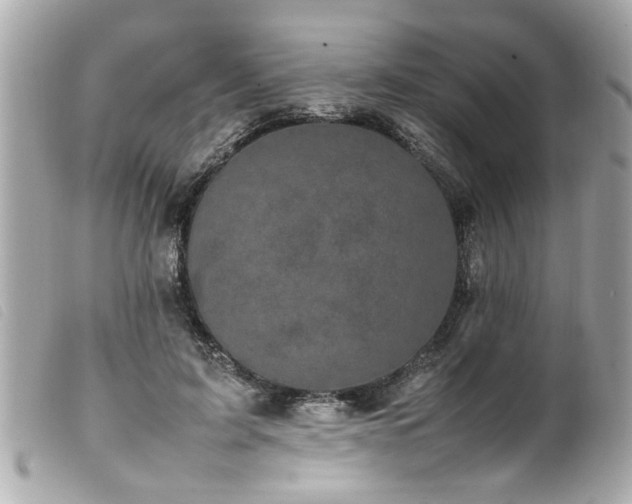 X0000100220595200805301348
