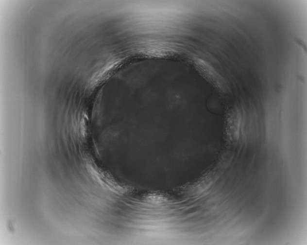 X0000100220596200805301348