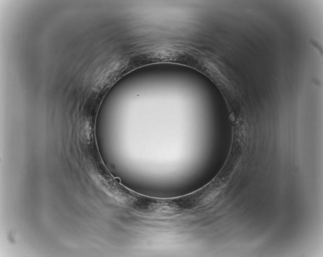 X0000100220597200805301348