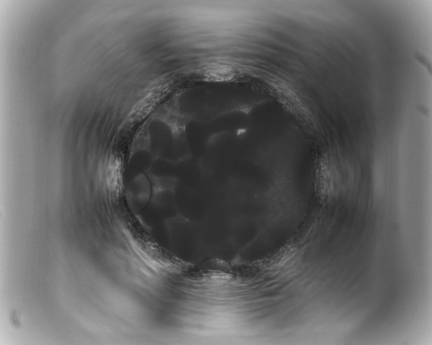 X0000100220598200805301348