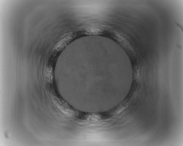 X0000100220599200805301348