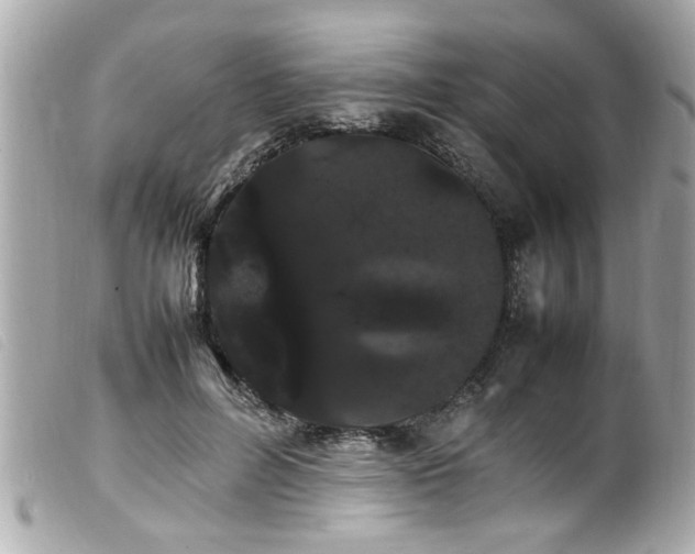 X0000100220600200805301348