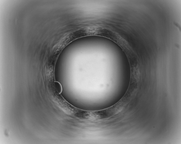 X0000100220601200805301348