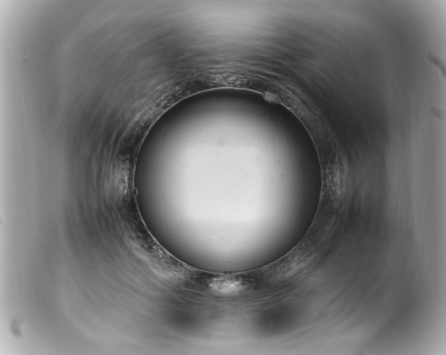 X0000100220602200805301348
