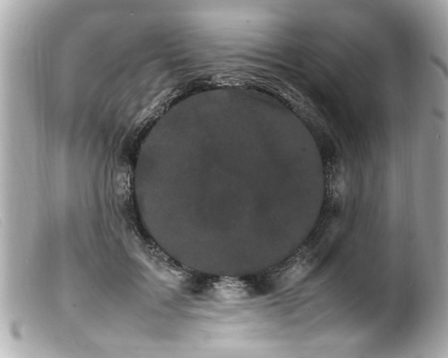 X0000100220603200805301348