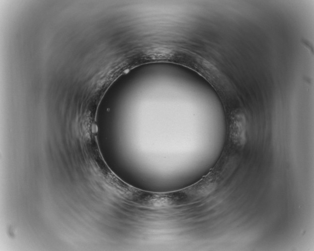 X0000100220604200805301348