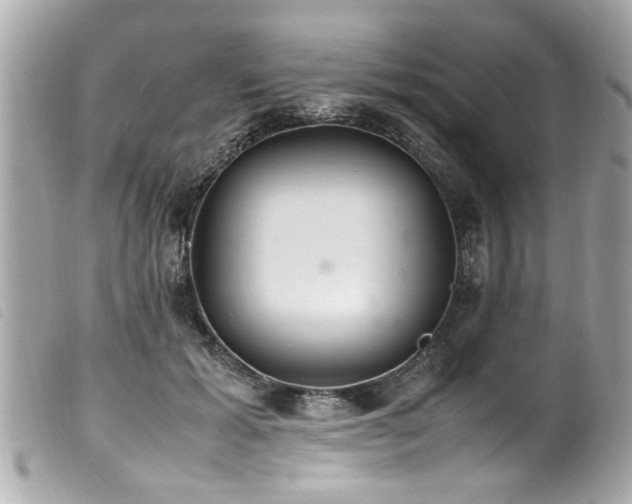 X0000100220605200805301348