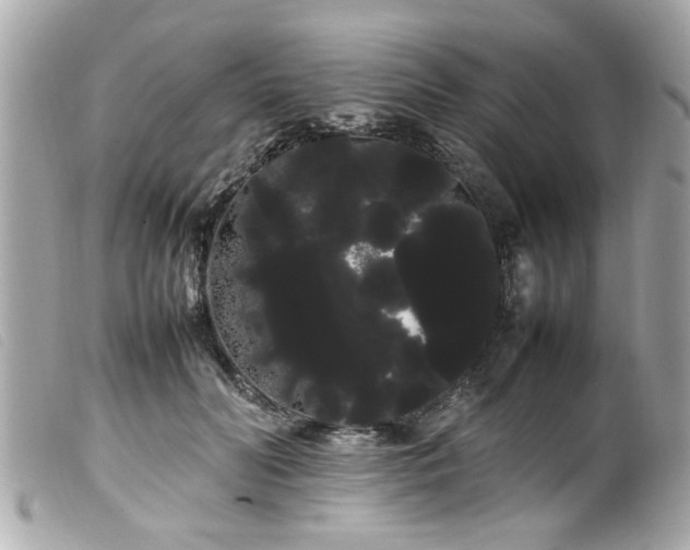 X0000100220606200805301348