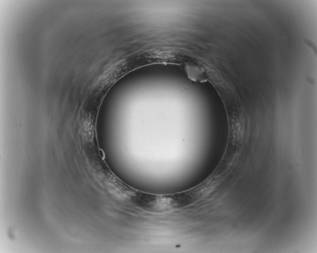 X0000100220609200805301348