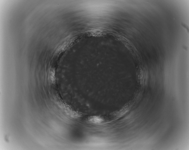 X0000100220610200805301348