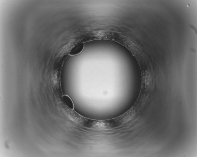 X0000100220611200805301348