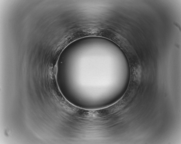 X0000100220612200805301348