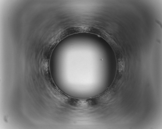 X0000100220613200805301348