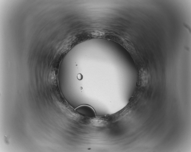 X0000100220614200805301348