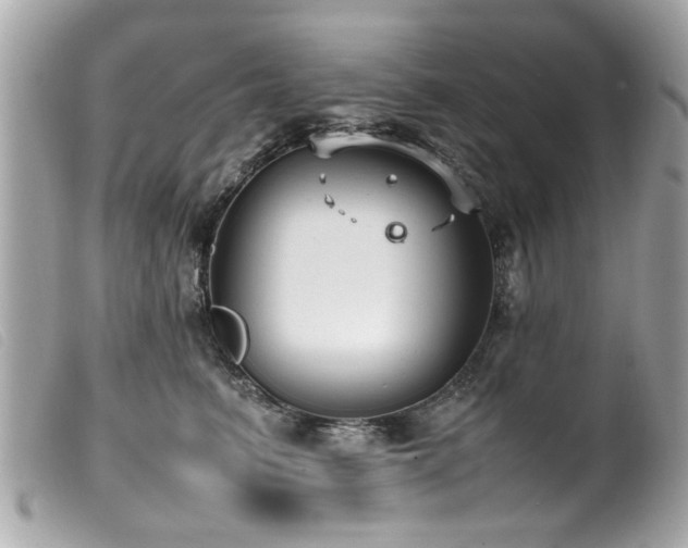 X0000100220615200805301348