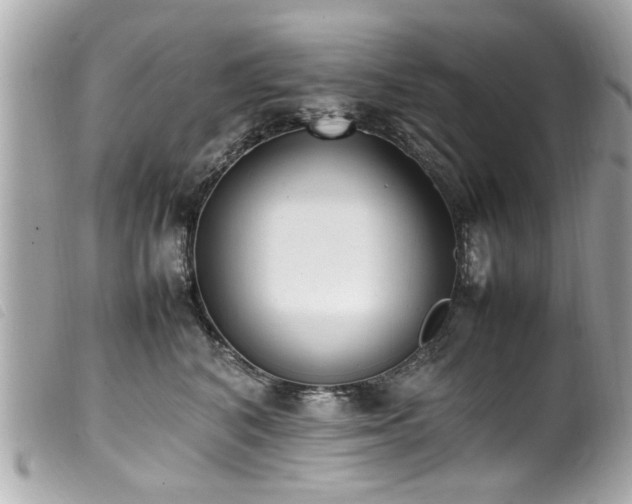 X0000100220616200805301348