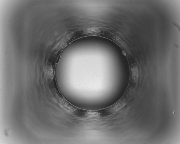 X0000100220617200805301348