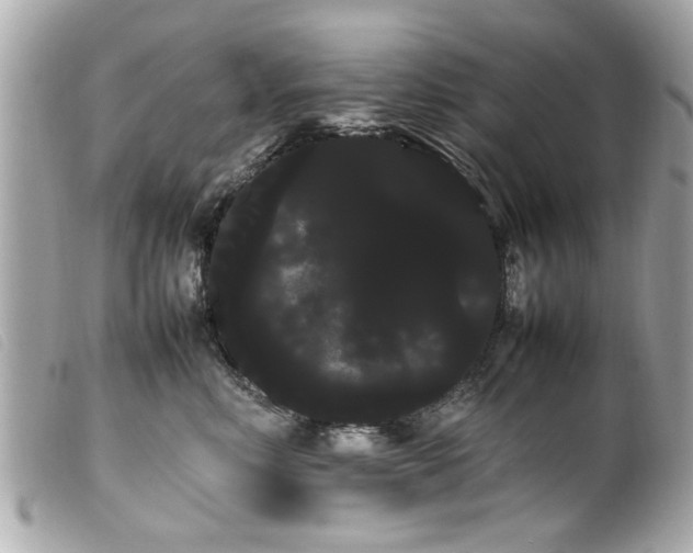X0000100220618200805301348