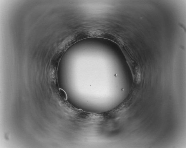 X0000100220619200805301348
