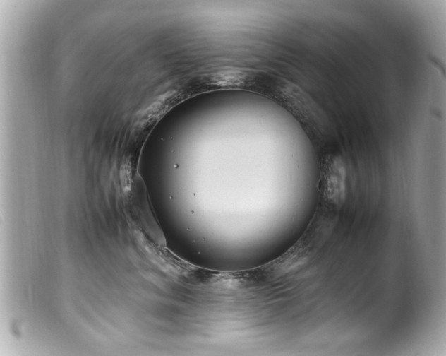 X0000100220620200805301348