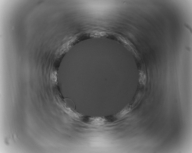 X0000100220621200805301348