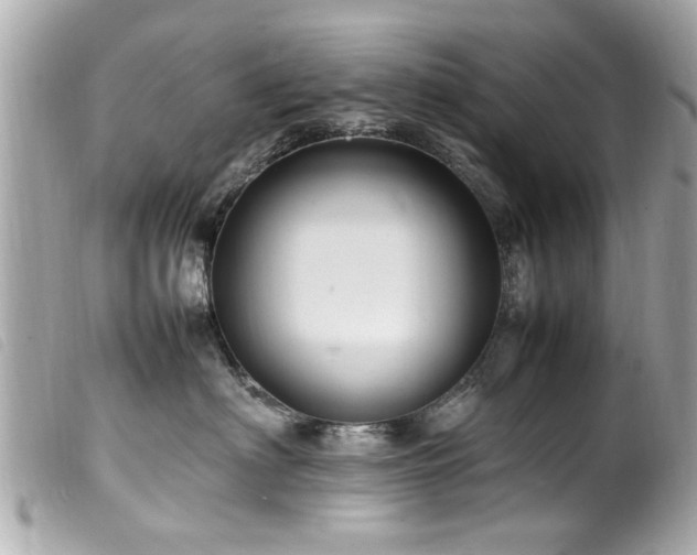 X0000100220622200805301348