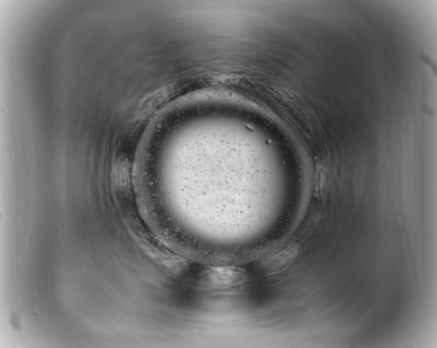 X0000100220623200805301348