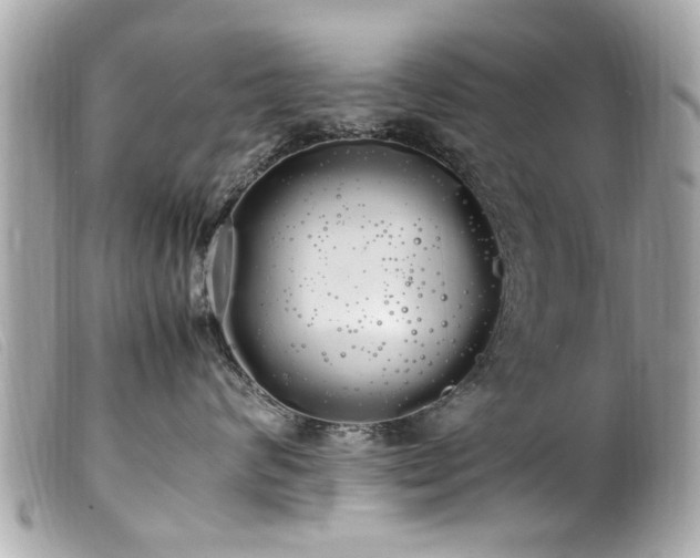 X0000100220624200805301348