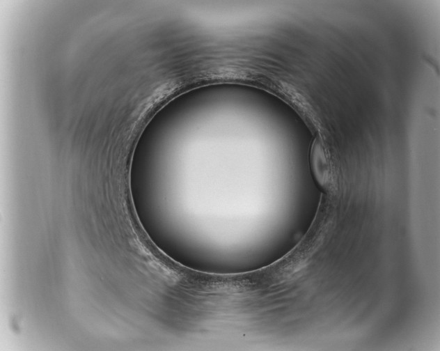 X0000100220625200805301347