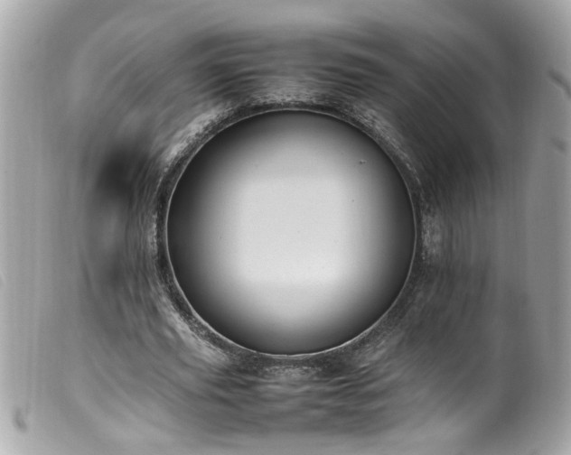 X0000100220629200805301347