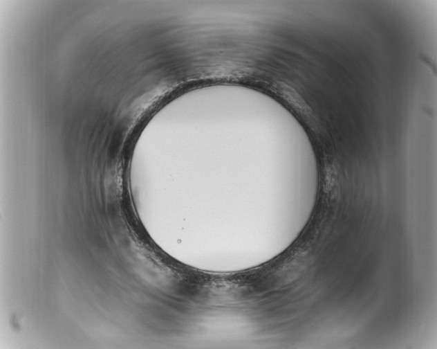 X0000100220632200805301347