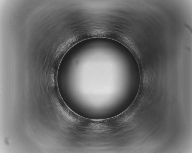 X0000100220633200805301347