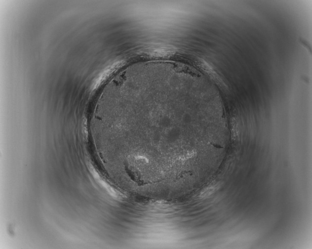 X0000100220634200805301347