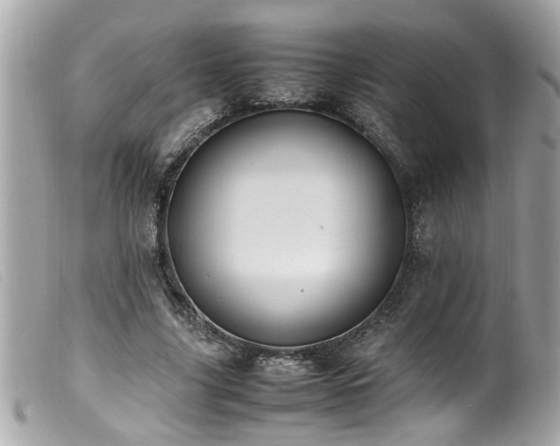 X0000100220635200805301347