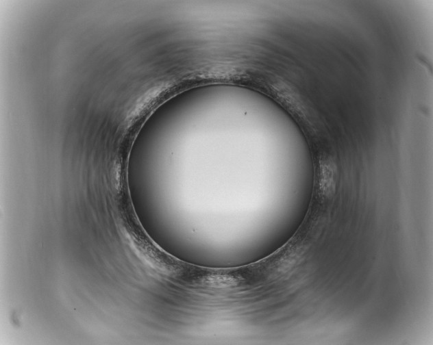 X0000100220636200805301347